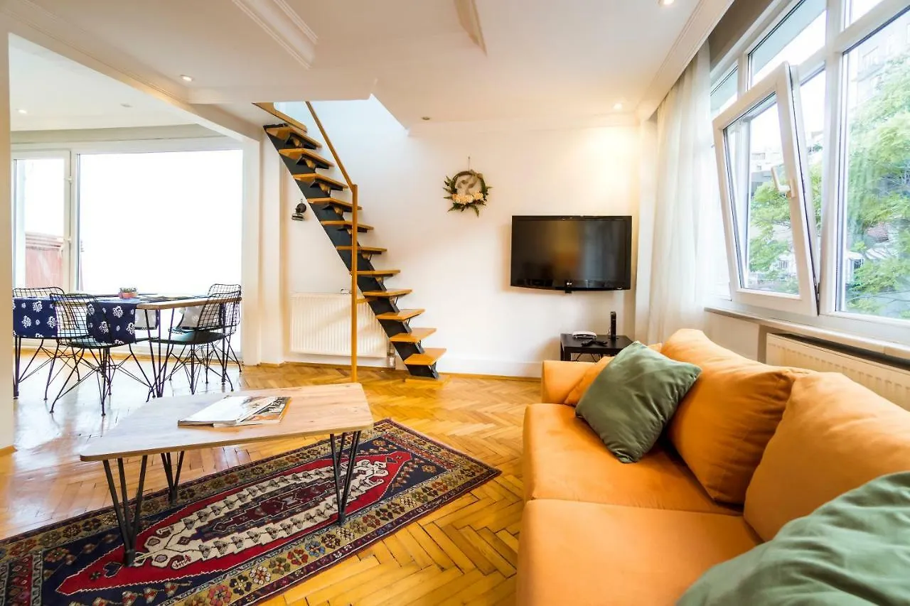 Classy Flat Taksim Apartment Istanbul Turkey
